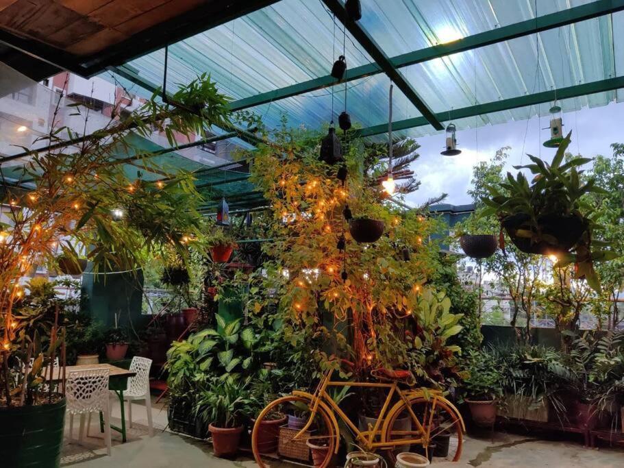The Nook Rooftop Condo And Garden Guwahati Exterior photo